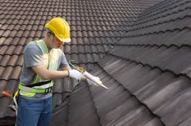 Best Green or Eco-Friendly Roofing Solutions  in USA